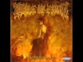 Download Lagu Cradle of Filth - Nymphetamine Overdose