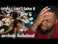 Download Lagu The No Na 'orchids lullabies' Are VOCAL HEAVEN! (EMOTIONAL Reaction)