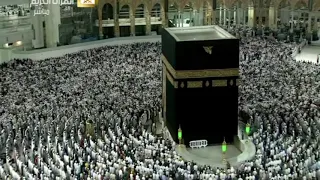 فجرية هادئة لسور  العلق القدر القارعة  فجر الأحد               للشيخ ياسر الدوسري دندنها