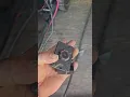 2024 Predator 13000 CO2 bypass Go to new proven Fix in Description