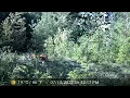 Size Comparison - same camera Bobcat Mountain Lion Black Bear Human