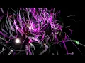 The Crimson Wing - 08: Transformation (The Cinematic Orchestra)