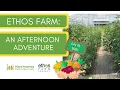 Ethos Farm An Afternoon Adventure