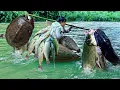 Download Lagu Traditional Fishing Skills - Single Mother Unexpectedly Catches Strange Turtle and Giant Fish