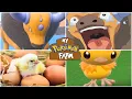 Download Lagu FARM ANIMAL POKEMON TEAM! Tauros, Mudsdale Moveset Sweep Pokemon Scarlet and Violet WiFi Battle