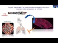 RNA Collaborative Seminar Series - Jon Watts
