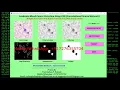 Python Code Leukemia Blood Cancer Classification Using CNN Python Source Code Final Year Project