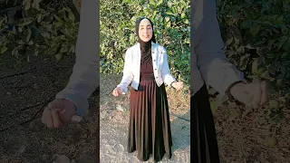انشودة بلغ سلامي للنبي كاملة  المنشدة آيه والاء جابر  دندنها