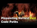 Pinpoint hottest Perl code paths using OpenResty XRay