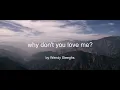 why don't you love me? Cover - Wasia Project