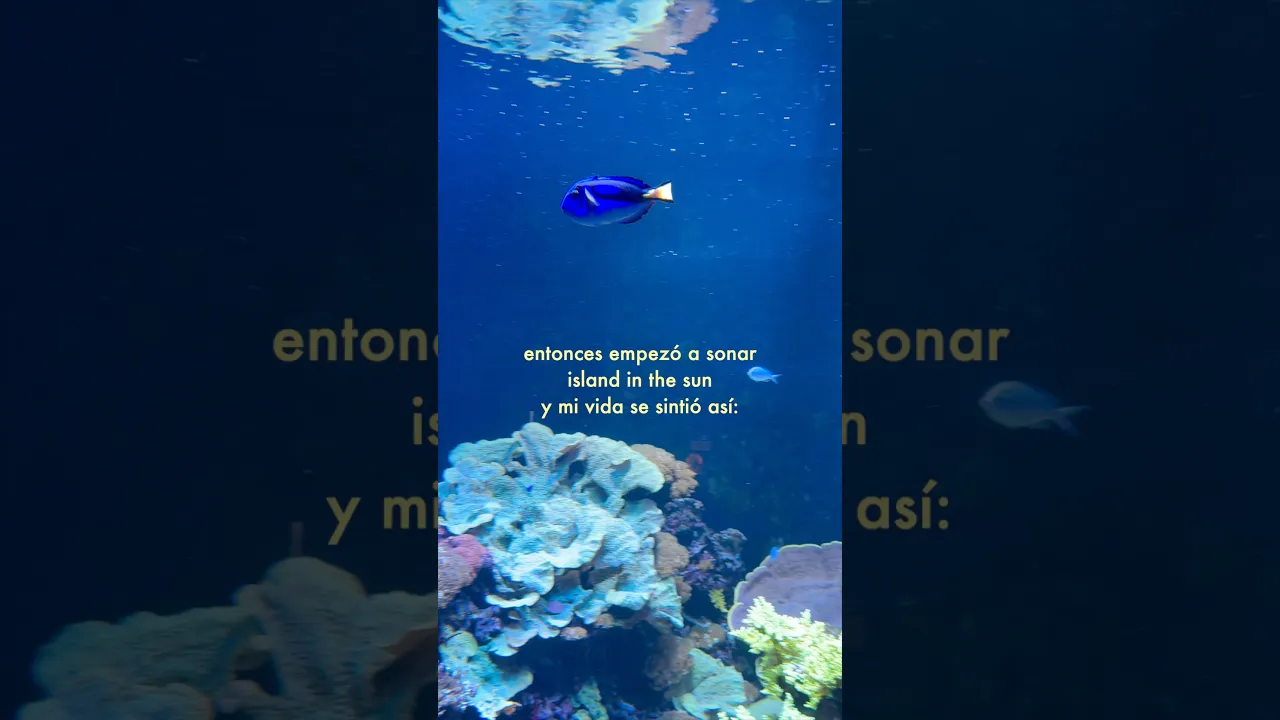 Empezó a sonar… 🌊🌴✨