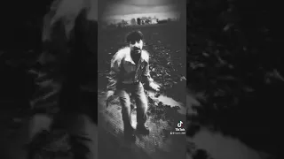 انتو صايرين زلم  اذ انتو صايرين زلم رح ادفن حالي بلمزبله ياولل تزكر ينعن عرض المصاري ياولل دندنها