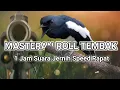 Download Lagu Masteran kacer roll tembak jernih full materi
