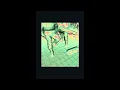 [WRP] Otis Kane, KALLITECHNIS - Good Love