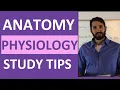 Anatomy and Physiology Study Tips How to ACE Anatomy Physiology