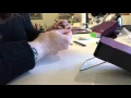 Layering Jamberry Nail Wraps