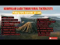 Download Lagu 🎶 KUMPULAN LAGU TIMUR VIRAL TIKTOK 2025 PALING HITS 🎶