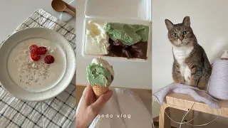 더워서 집에만 있고 싶다..🌞 💧비스코티 만들고, 두부 콩국수 해 먹기...🐱