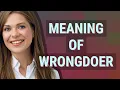 Wrongdoer meaning of Wrongdoer