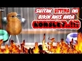 Download Lagu Coba pancing anis merah macet anda dengan suitan betina ini.