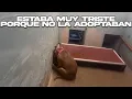 Lagu Perrita Fue Devuelta Al Refugio y La Foto De Su TRISTEZA Dio Vuelta Al Mundo