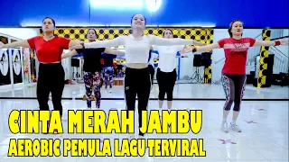 senam aerobik musik terbaru 2025 cinta merah jambu bareng fesya sahara gerakan mudah u0026 asik 