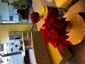 Holiday Installation CBRE 33 Arch Street by Plantscape Designs inc