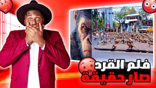بدأت الحرب في الهند القرود خرجت عن السيطرة    دندنها