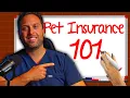 The Ultimate Guide To Pet Insurance 2024 Edition