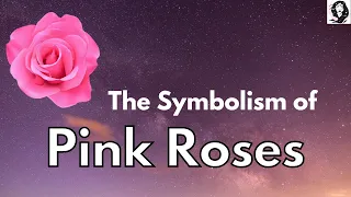 Symbolism of Pink Roses - Meaning of Pink Roses