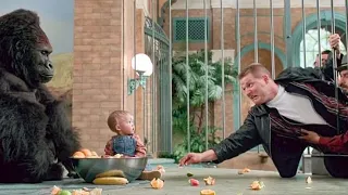 طفل صغير بيتوه عن اهله و بيكتشفوا أنه قاعد مع غوريلا في القفص بتعها Baby S Day Out 