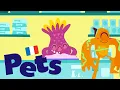 Download Lagu Pets in French 🇫🇷 - Learn French