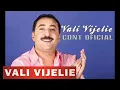 Download Lagu Vali Vijelie - Eu sunt mare gagicar