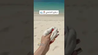 سلايم الشاطئ 