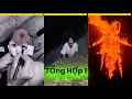 Download Lagu Tổng hợp 2.#mongtinh #kinhdi#ma#tiktok#ma