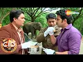 Wild Animal के साथ CID Team करने लगी Lunch || CID | सी.आई.डी. | Detective Series