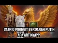 Download Lagu Satrio piningit berdarah putih apa artinya#satriopiningit #imammahdi #ratuadil #viralreels 