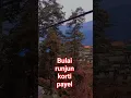 Bulai runjun korti payel #lovesongs #romanticsongs #song #youtubeshorts #shootsvideo