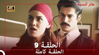 طائر النمنمة الحلقة 9 جودة عالية 