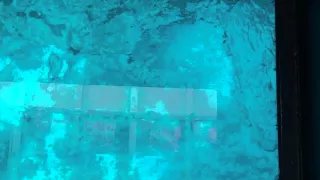 في السفينة في العقبة 