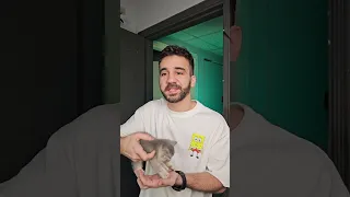 جبت قطة دندنها