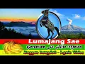 Download Lagu Lagu Lumajang sae