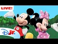 LIVE 24 HOURS Mickey Mouse Full Episodes Shorts Clubhouse Me Mickey MORE disneyjr