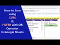 Google Sheets SUM FILTER Function OR Logic to Filter Data Example Spreadsheet Tutorial