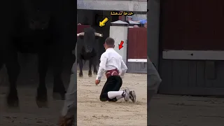 رجل ذكي يخدع الثور بطريقة مدهشة وعجيبة Shorts 