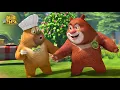 💥熊熊乐园4 | 【EP1】俺去上班啦 | Boonie Cubs | xiong chu mo Boonie Bears