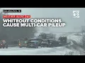 Pileup of at least 15 cars closes West Michigan highway amid whiteout conditions
