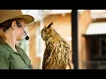 2025 Etowah Wildlife Expo Explore Canton GA