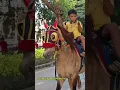 Download Lagu naik delman istimewa-lagu anak populer Indonesia-lagu anak-anak-delman kuda