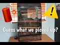 NOTHING LIKE WHAT WE HAVE Another Craigslist Adoption Absolutely Epic Pick Up Reptile Adoption